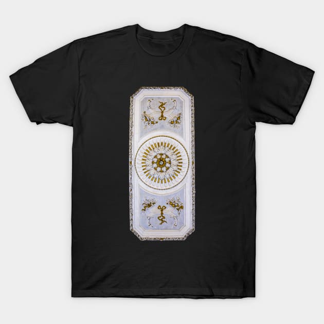 Decorative Heritage Lace Panel Ceiling Floral Ornament Pattern T-Shirt by ernstc